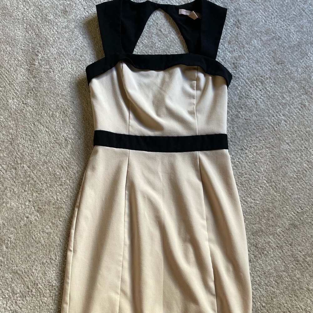Fitted business casual dress